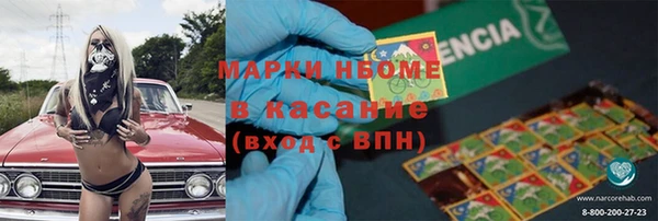 индика Новозыбков