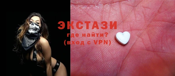 индика Новозыбков