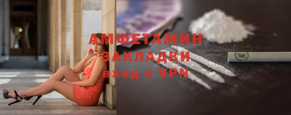 шишки Нея