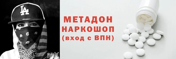 индика Новозыбков