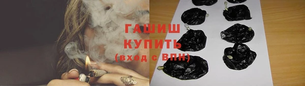индика Новозыбков