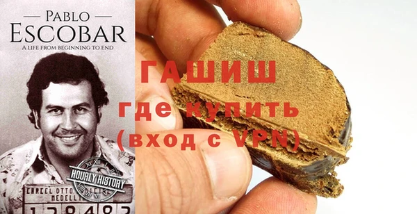 индика Новозыбков