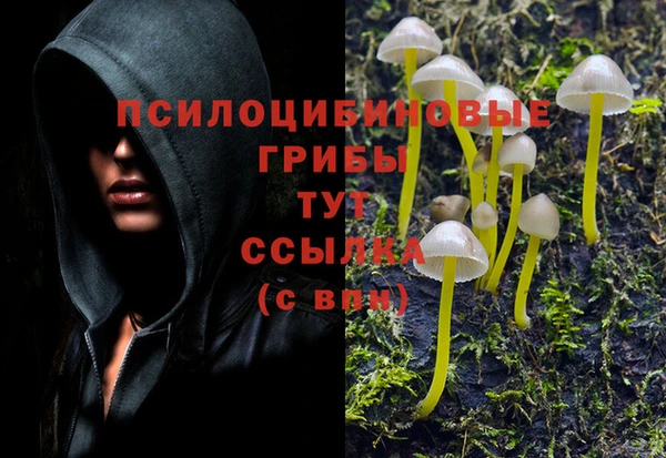 герыч Новокубанск