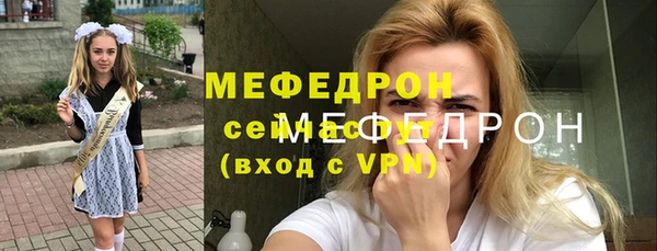 индика Новозыбков