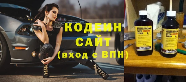 индика Новозыбков