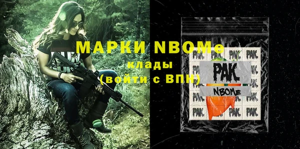 индика Новозыбков
