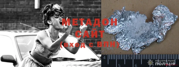 индика Новозыбков