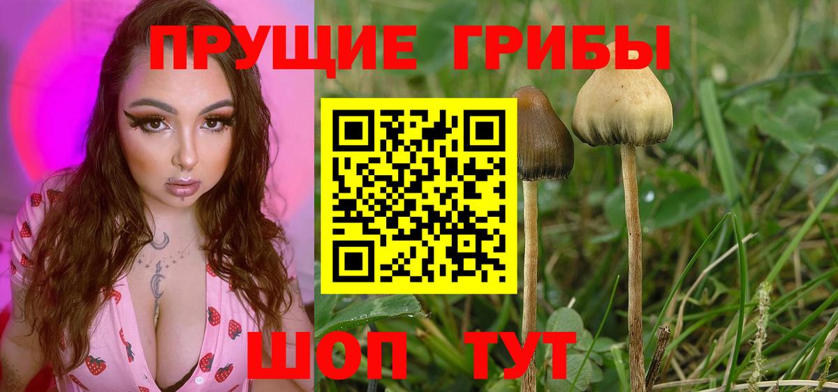 Галлюциногенные грибы MAGIC MUSHROOMS Людиново