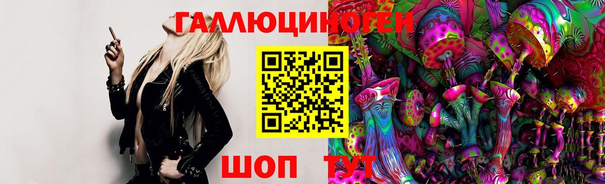 Галлюциногенные грибы Psilocybe Людиново