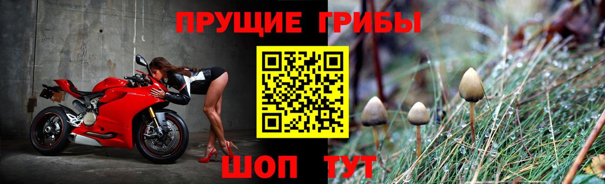 Псилоцибиновые грибы Magic Shrooms  Людиново 