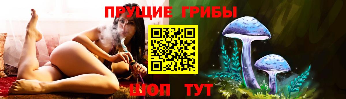 купить наркотик  Псилоцибиновые грибы мухоморы  Вход с VPN  Людиново 